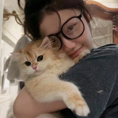 洪拳小子